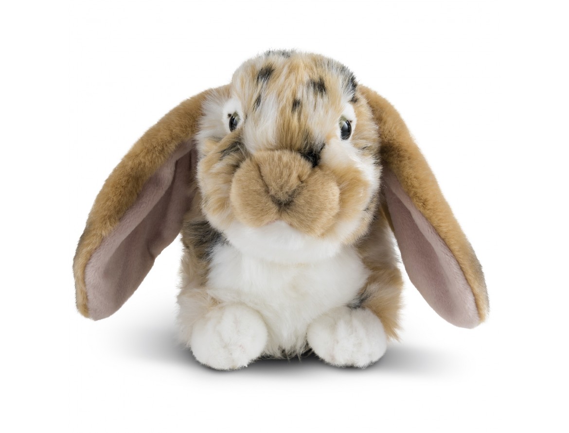 L' évolution des design de peluches lapins