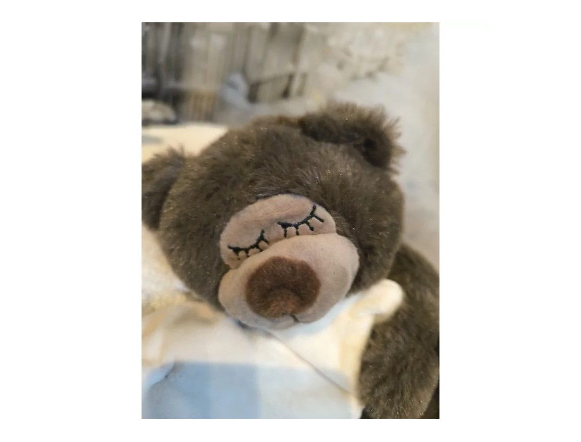 Conserver peluche : astuces pour garder un ours en peluche en parfait état