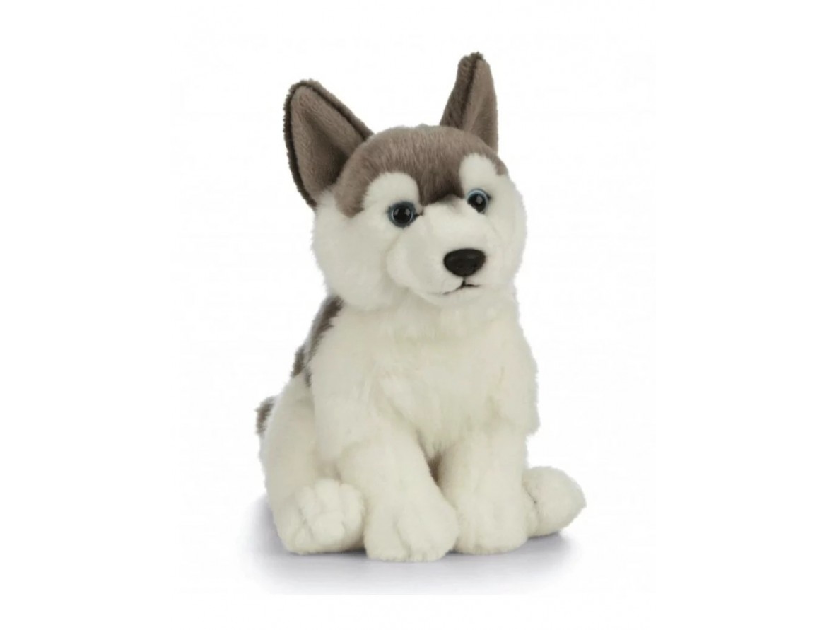 Peluche husky : comment choisir la plus réaliste pour un cadeau unique