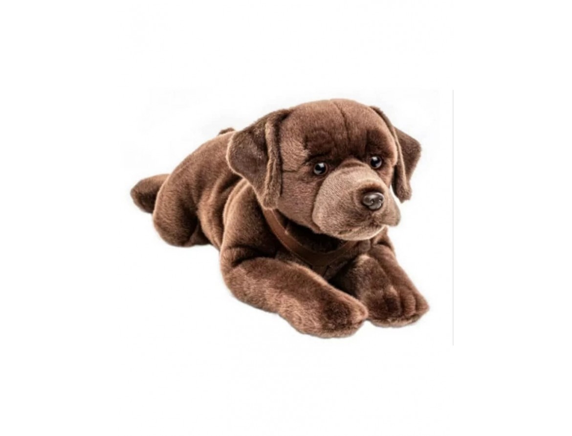 Peluche chien anniversaire enfant : le cadeau qui fait briller les yeux